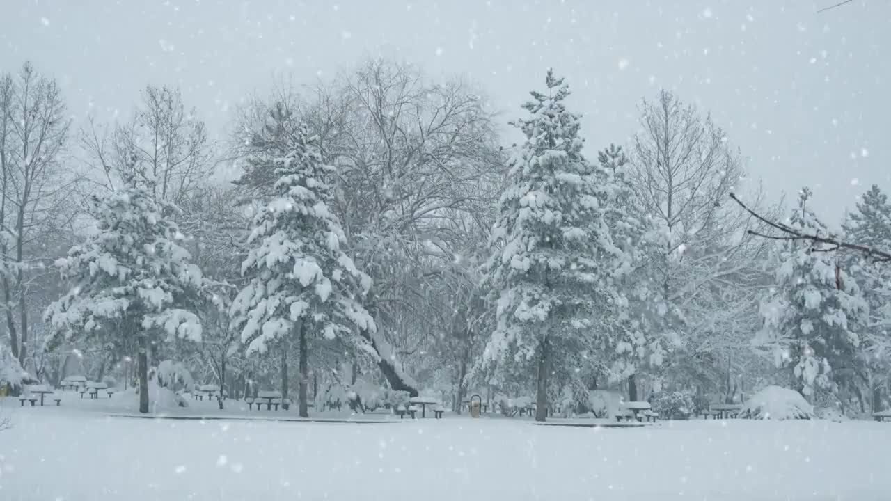 冬季景观-可循环视频素材