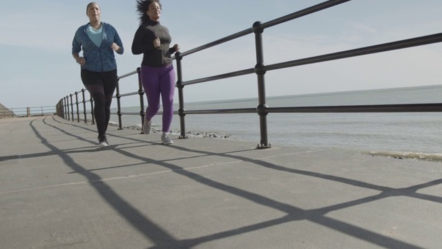 两名大码女性在户外锻炼，肥胖黑人女性运动锻炼身体积极视频素材