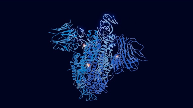 主要突变D614G的SARS-CoV-2棘突蛋白被突出显示，可循环，转盘动画视频下载