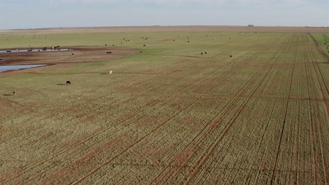 中心支点灌溉系统:德克萨斯州的牧场视频素材