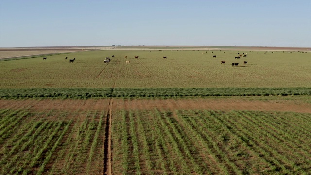 中心支点灌溉系统:德克萨斯州的牧场视频素材