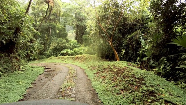 4X4驾驶通过哥斯达黎加偏远的雨林:泥泞的道路视频素材