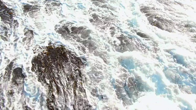 海浪拍打着海洋中的藻类/蓬圣胡安，秘鲁，南美洲视频素材