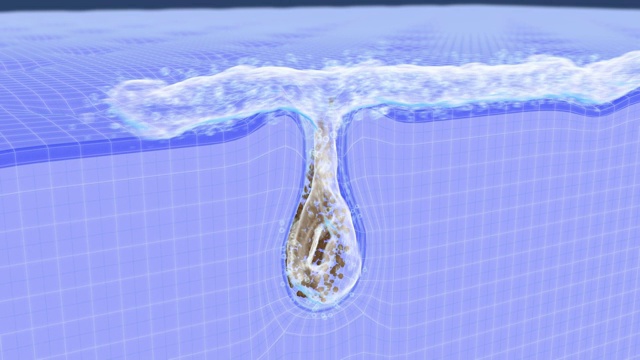 在x射线皮肤毛孔清洁演示的三维动画视频素材