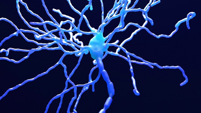 大脑内的神经元细胞视频素材