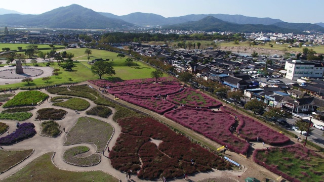 韩国庆尚北道庆州西Cheomseongdae观测台附近的粉红草栖息地视频下载