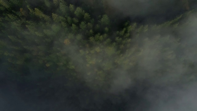 风景鸟瞰图的山覆盖在雾视频下载