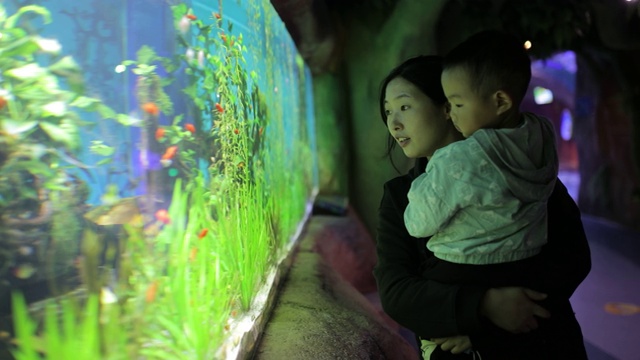 妈妈和他的孩子在水族馆看鱼视频素材