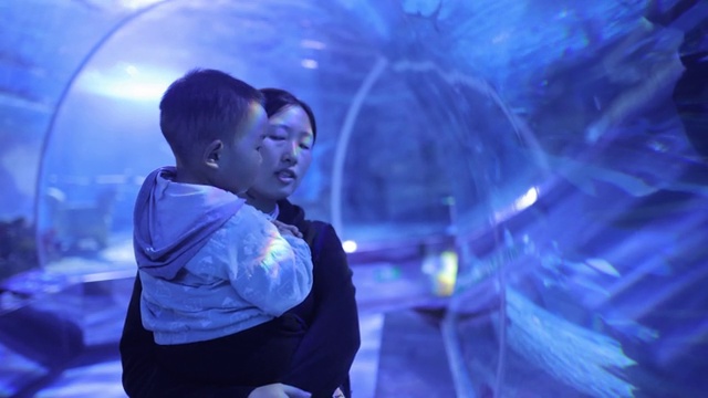 妈妈和他的孩子在水族馆看鱼视频素材