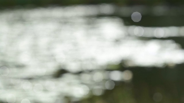 湖水模糊的背景视频素材