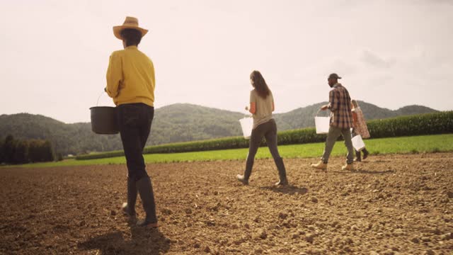 在一个阳光明媚的日子里，四个农民用手在田间播种视频素材