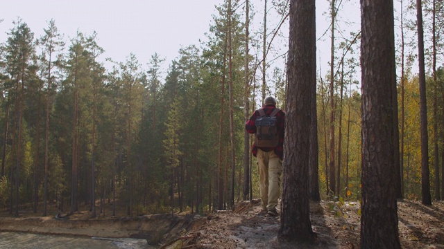一位背着双肩包的老人走在秋日阳光明媚的森林里，背影看人，平静的徒步旅行视频素材