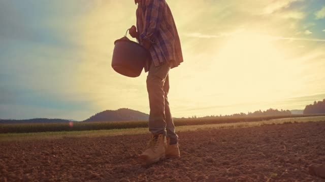 一名男性农民在清晨的阳光下在田里行走，撒下种子视频素材