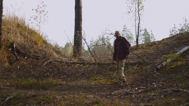 在秋天的一天，背包客在森林里独自行走，在森林里旅游和远足，中年男子在享受大自然视频素材