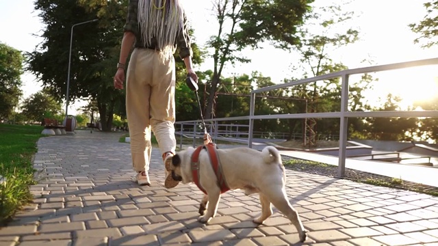 这是罕见的在公园里由女性主人牵着狗链奔跑的哈巴狗视频下载