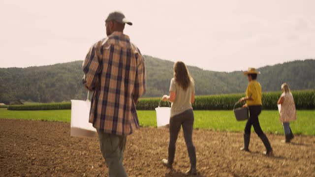 四个人拿着水桶穿过田野，在阳光下把种子撒到土壤上视频素材