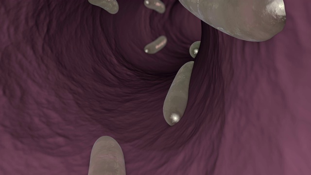 人体或动物肠道内寄生蠕虫的三维动画。视频下载