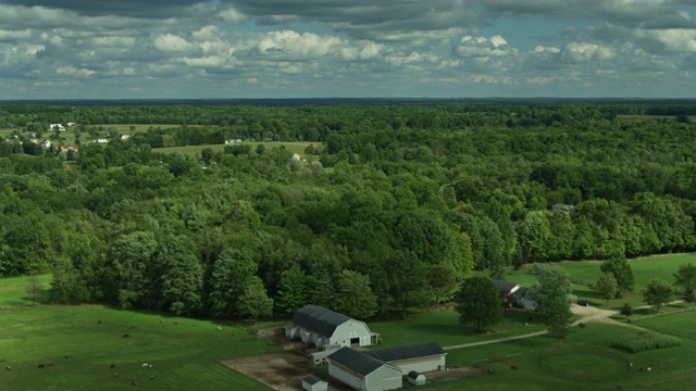 无人机飞过俄亥俄州的农场和林地视频下载