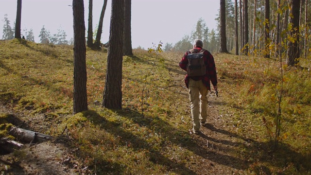徒步者在清晨独自漫步在树林中，享受着秋天清新的晨光，身后是人的背影视频素材