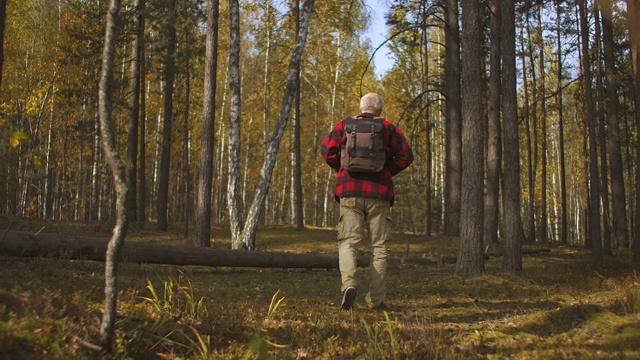 秋日独自在森林里徒步旅行的游客，背背包的男性形象的背影，人与自然的统一视频素材