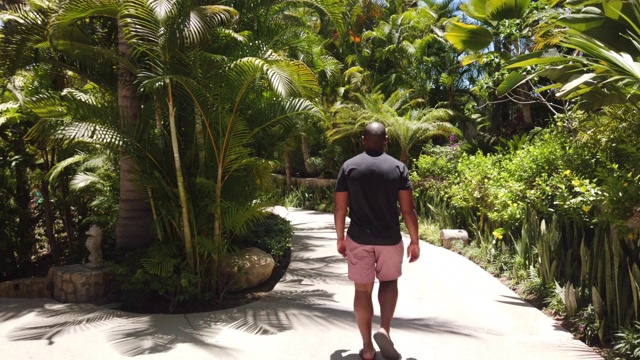 一个黑人走在热带天堂里。视频下载