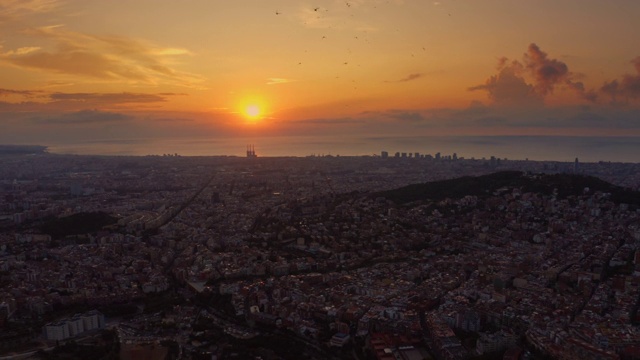 鸟瞰图黎明的阳光在巴塞罗那城市天际线与早晨的鸟视频下载