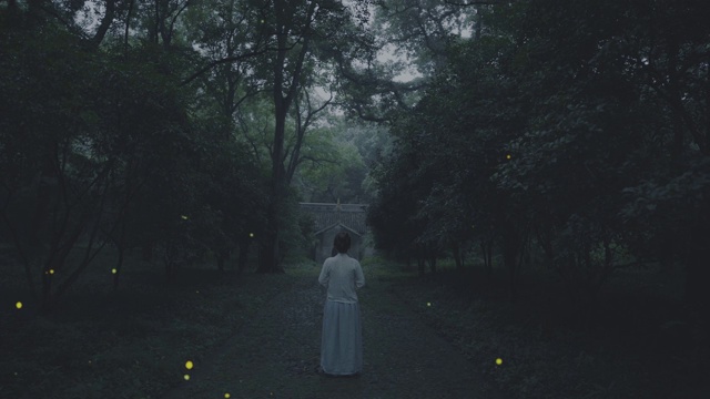 一个年轻女孩在萤火虫森林里视频素材
