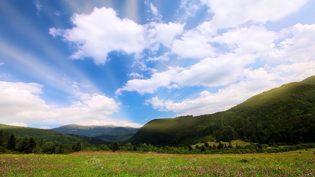 开花的山地丘陵视频素材