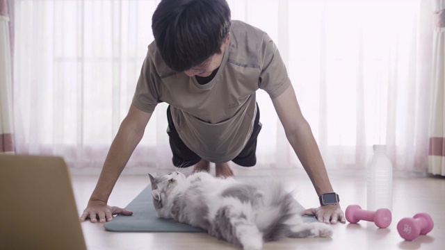 一个男人在家里和他可爱的猫做俯卧撑视频素材