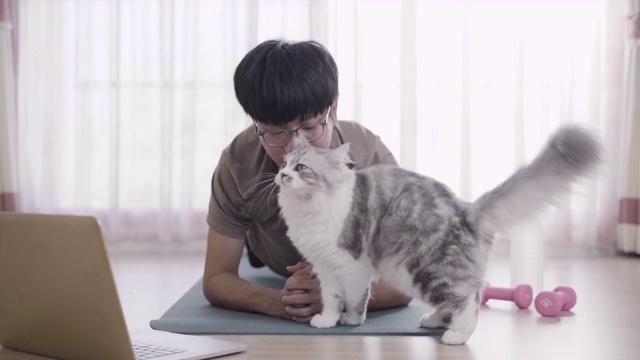 年轻人在家里和他可爱的猫做平板支撑运动视频素材