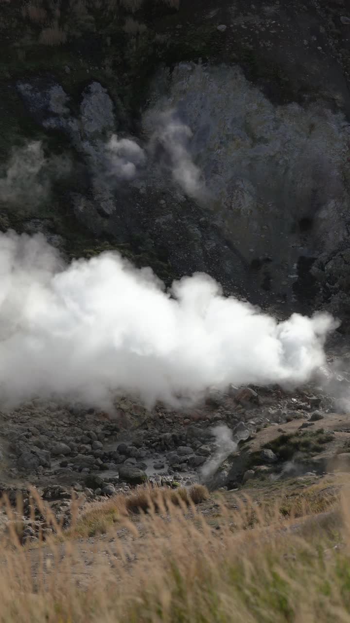堪察加半岛的自然侵略性火山景观-温泉，活火山地热田。垂直格式视频视频素材
