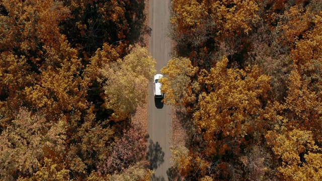 空中鸟瞰图白色汽车行驶在森林的乡村道路上。视频素材