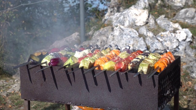 蔬菜串放在烤架上烤。素食烧烤。视频下载