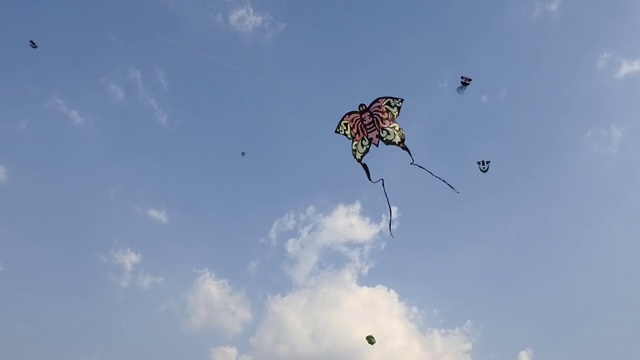 空中风筝比赛视频下载