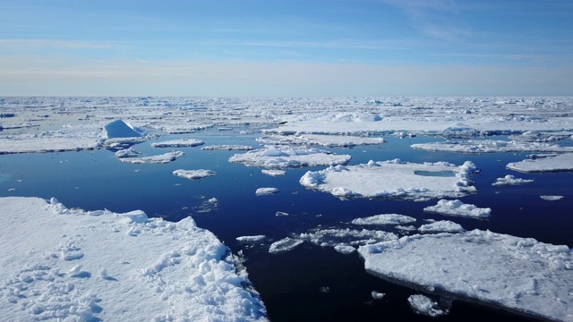 空中WS北极熊在浮冰之间游泳视频素材