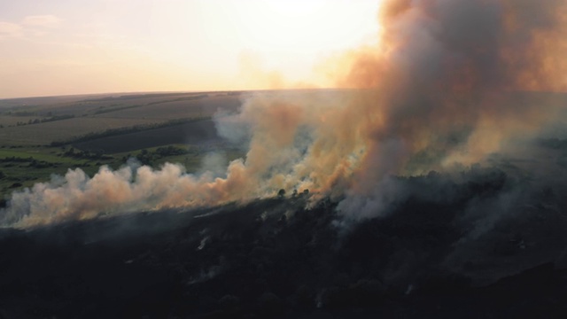 烟云之上干燥燃烧的田野，自然灾害野火。用火燃烧大自然，鸟瞰图视频素材