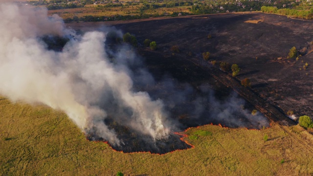 森林火灾，树木和干草燃烧。大自然在烟雾中，野火鸟瞰图视频素材