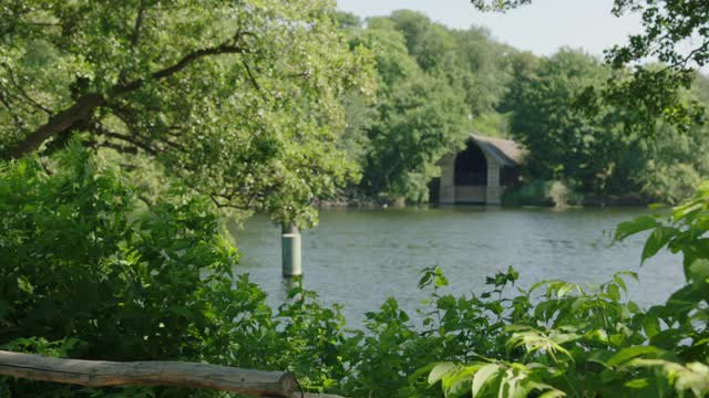 湖景/柏林，德国视频下载