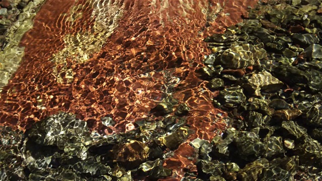 蒙大拿鲑鱼河的水形态视频素材