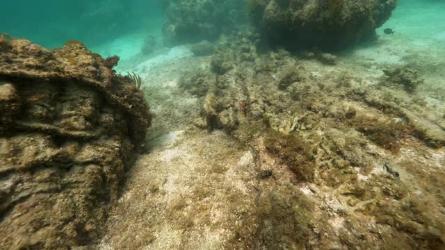 水下，pov，游过一个珊瑚礁，阿内加达，英属维尔京群岛视频素材