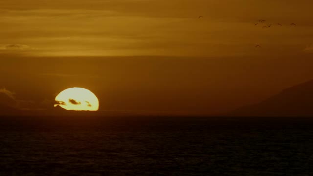 日出或日落在水面上，南非视频下载