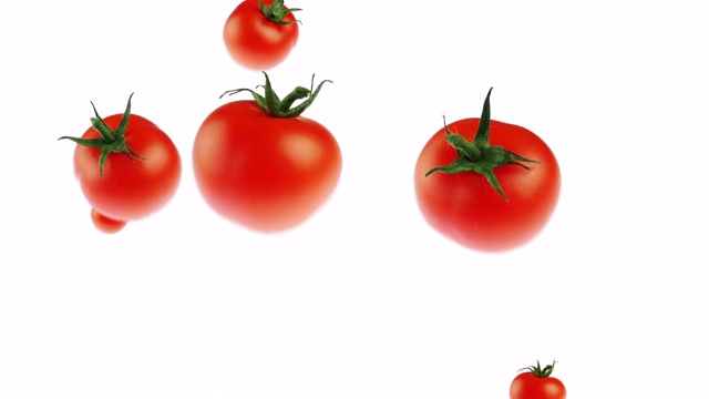 慢镜头西红柿飞上白色的背景视频素材