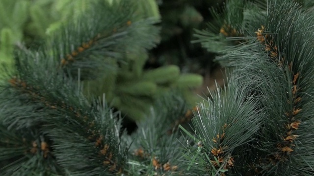宏观的圣诞树视频素材