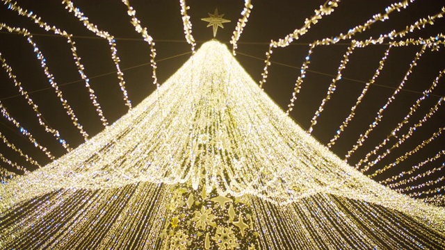 低角度的看法，以圣诞灯树对抗夜幕蓝色的天空视频素材