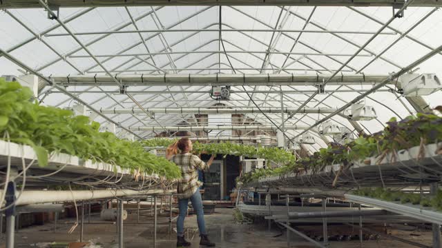 在农场温室里工作的年轻女子视频下载