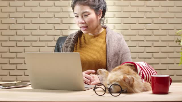亚洲女性使用笔记本电脑在线会议在家里工作，而她的狗睡在附近的工作桌上。居家工作生活方式隔离工作隔离期新常态观念视频素材