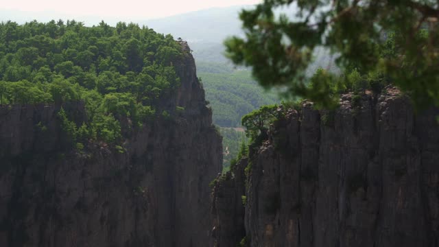 在顶端有针叶林的高悬崖之间的裂缝视频素材