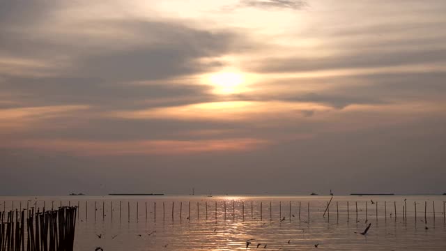 海鸥在夕阳的映衬下美丽地飞翔。泰国邦浦美丽的自然景观，4K视频素材