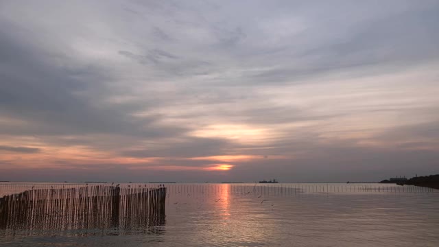 海鸥在夕阳的映衬下美丽地飞翔。泰国邦浦美丽的自然景观，4K视频素材