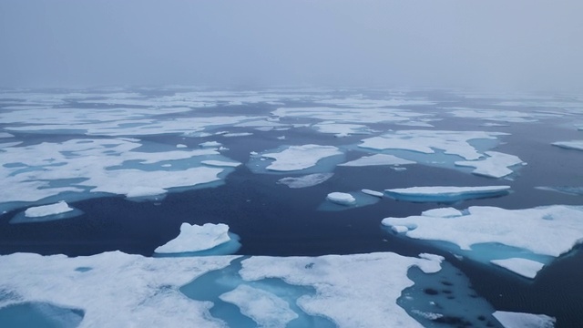 在夏天穿过融化的北冰洋浮冰视频下载